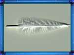 feather