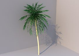 Palmtree