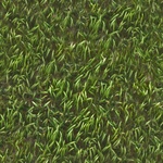 grass moss