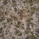 gravel grass